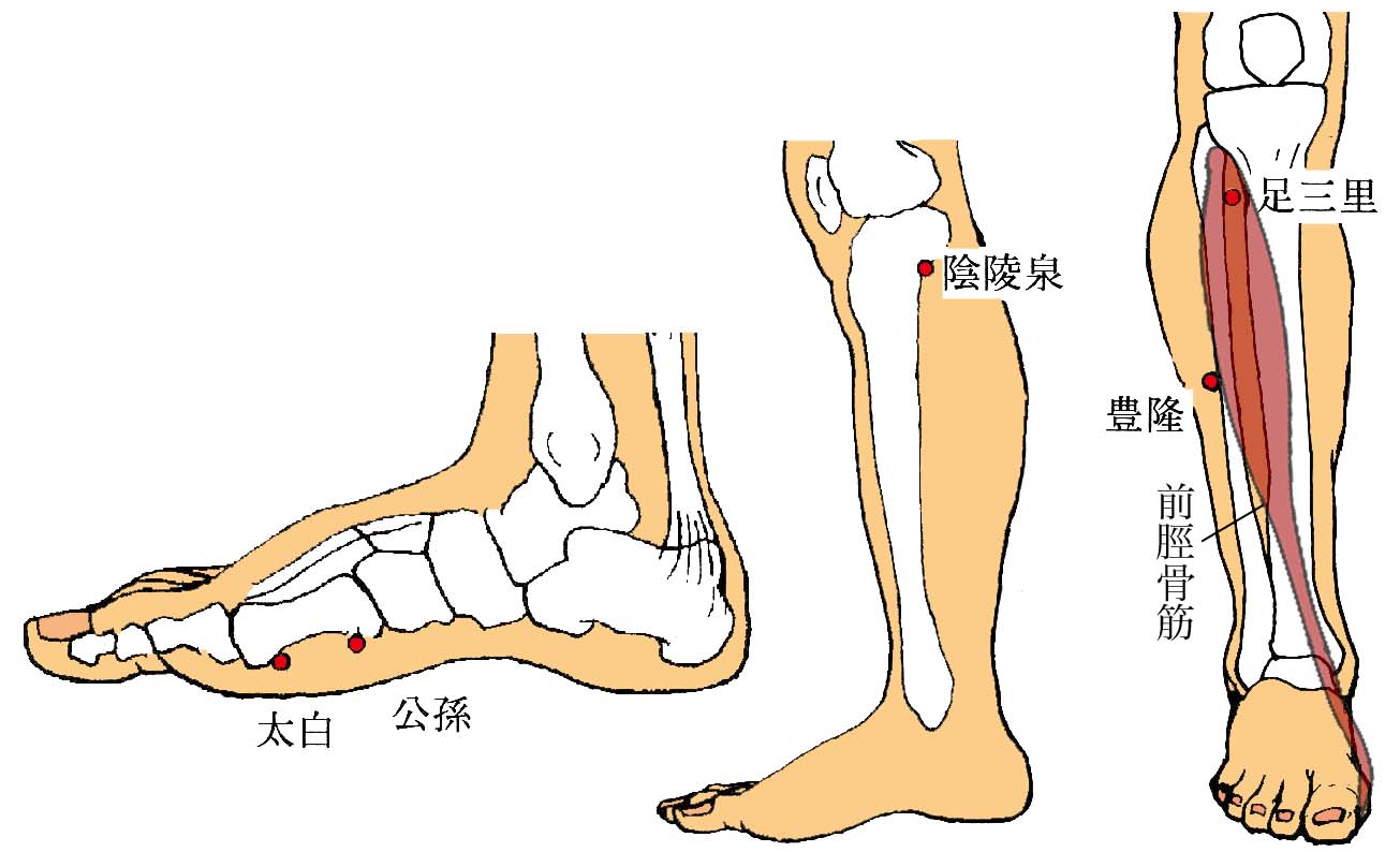 湿邪によるむくみを解消するなら…👣 | アルファ医療福祉美容専門学校|柔道整復・鍼灸・美容・保育・介護・福祉の国家資格取得